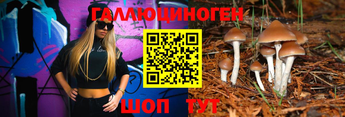 Псилоцибиновые грибы Cubensis Ирбит